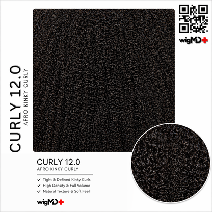ARTISAN: Afro Kinky Curly 12.0 100% Premium Human Hair Wig