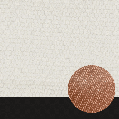 DAHLIA - HD WAVE image 2