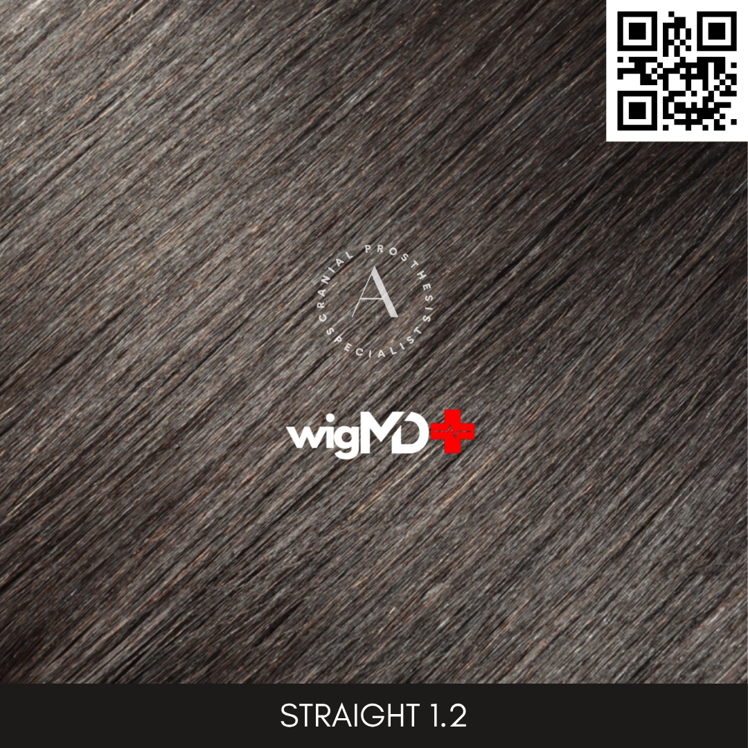ARTISAN: Remy Straight 1.2 Premium 100% Human Hair Wig