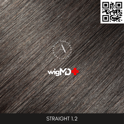 ARTISAN: Remy Straight 1.2 Premium 100% Human Hair Wig